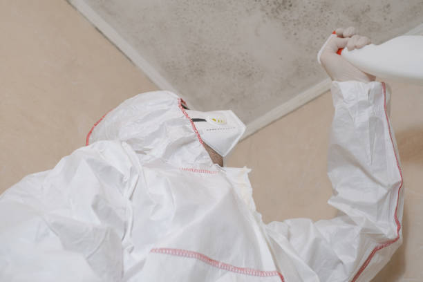 Best Commercial Mold Remediation in Lakewood Clu, MI